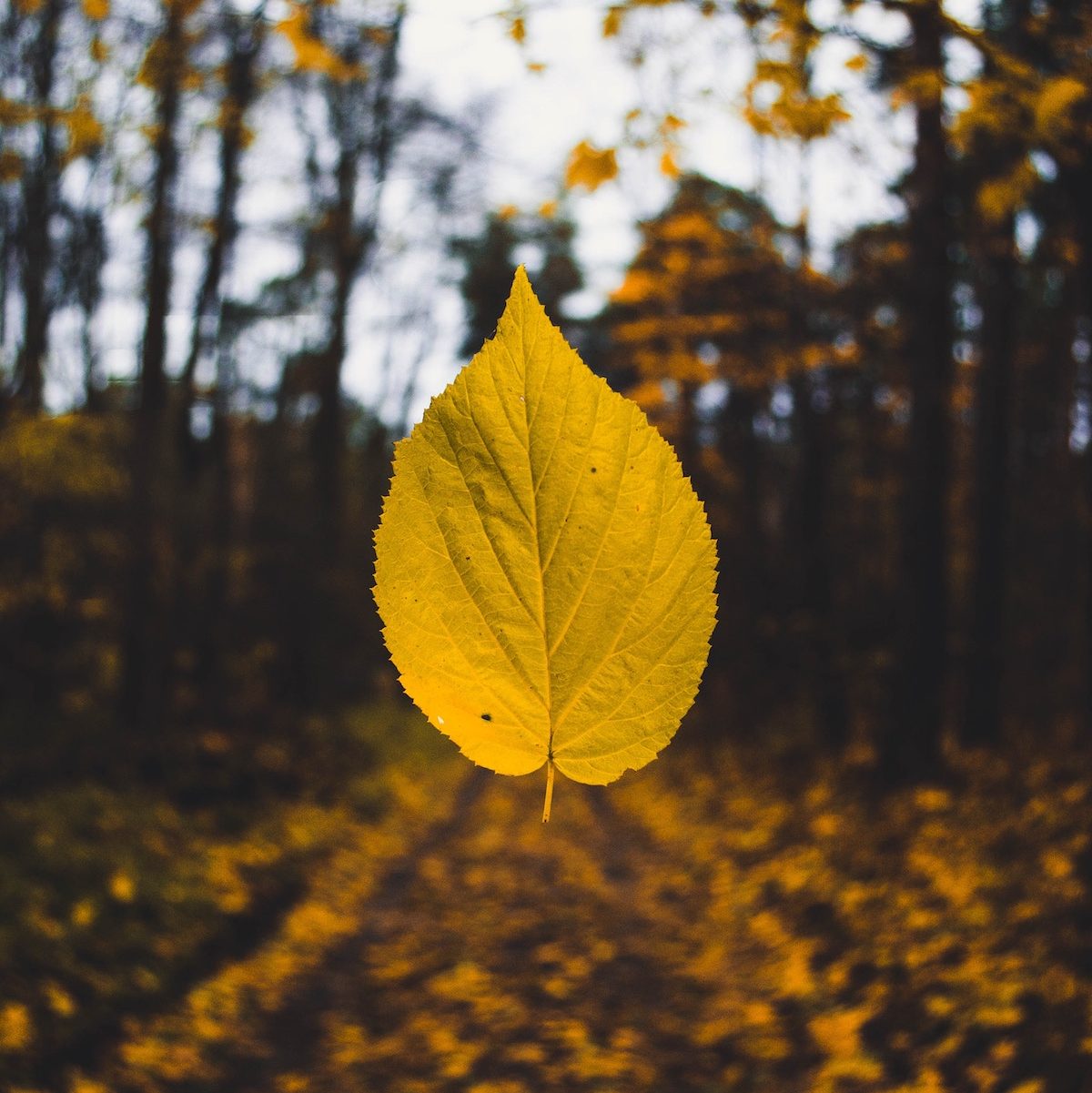 equinozio autunno